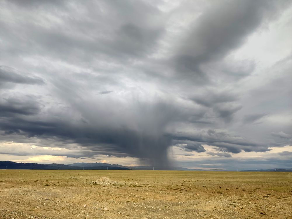 Перед бурей