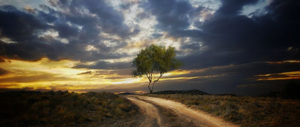 Фотография автора reyhane  khavaninzadeh