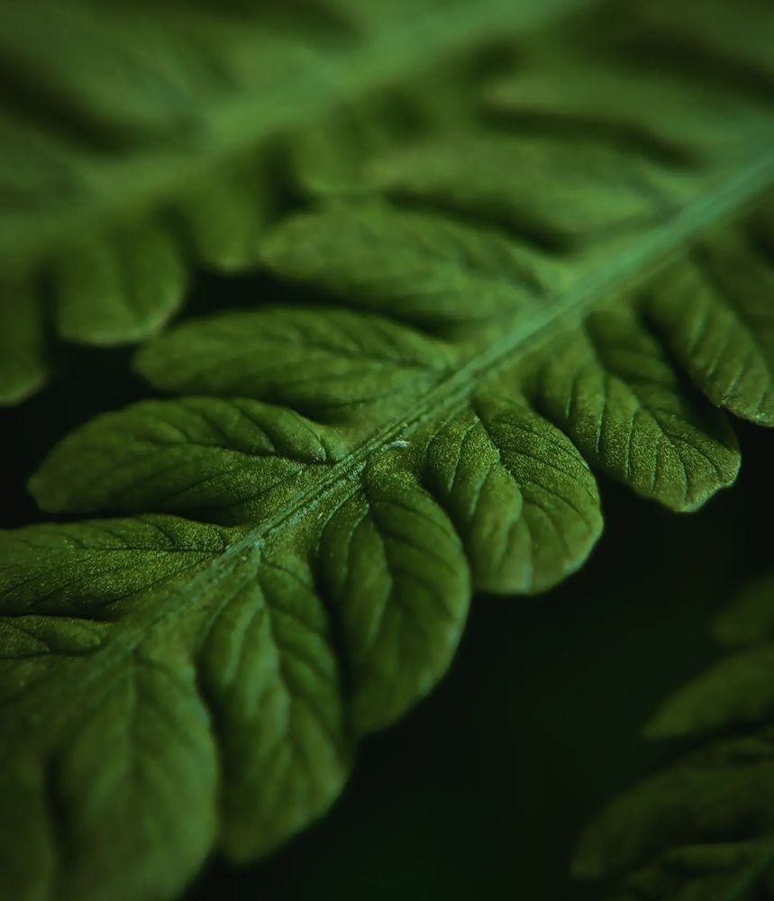 Фотография автора Юра Кладухин