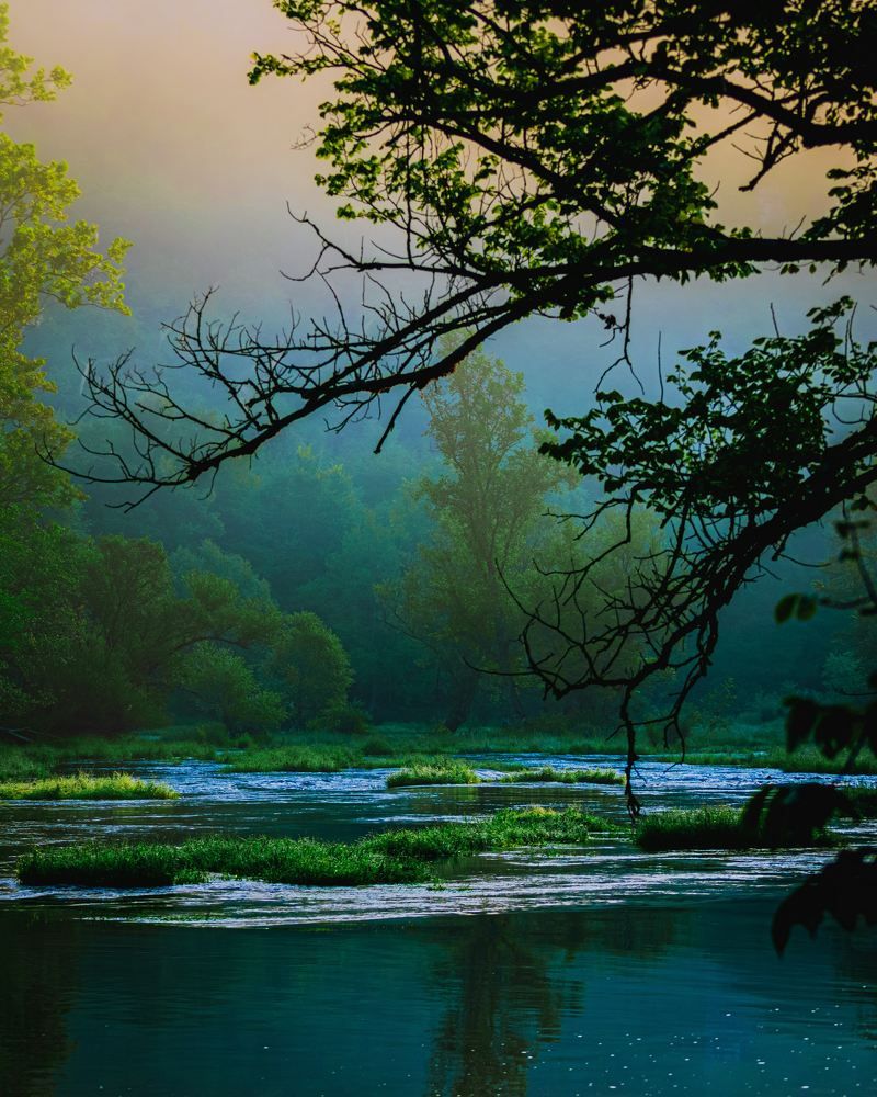 Dawn next to the river