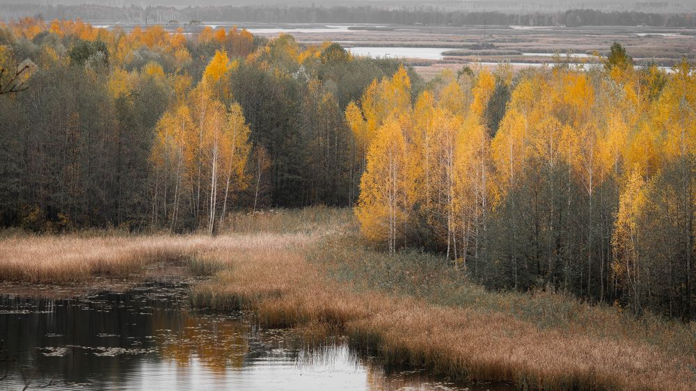 Photograph by Александр Битюков