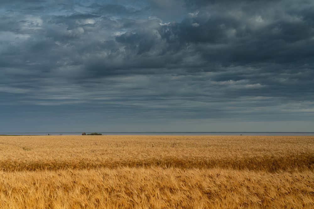 Photograph by Николай Фонарёв