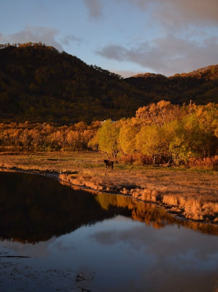 Photograph by Анастасия