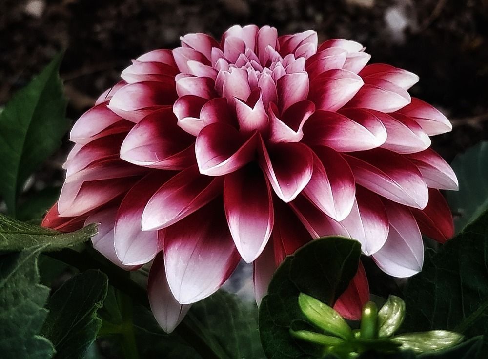 Фотография автора reyhane  khavaninzadeh