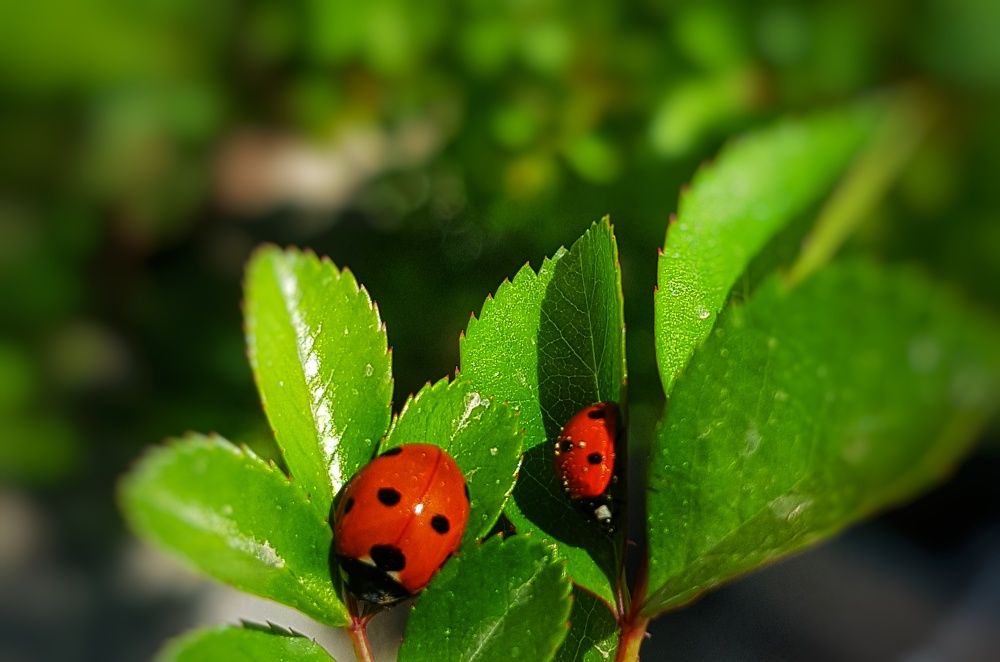 Фотография автора reyhane  khavaninzadeh