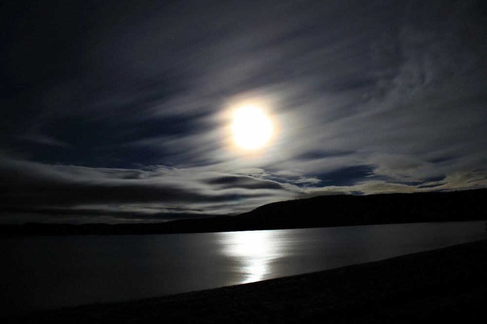 Фотография автора светлана терехова