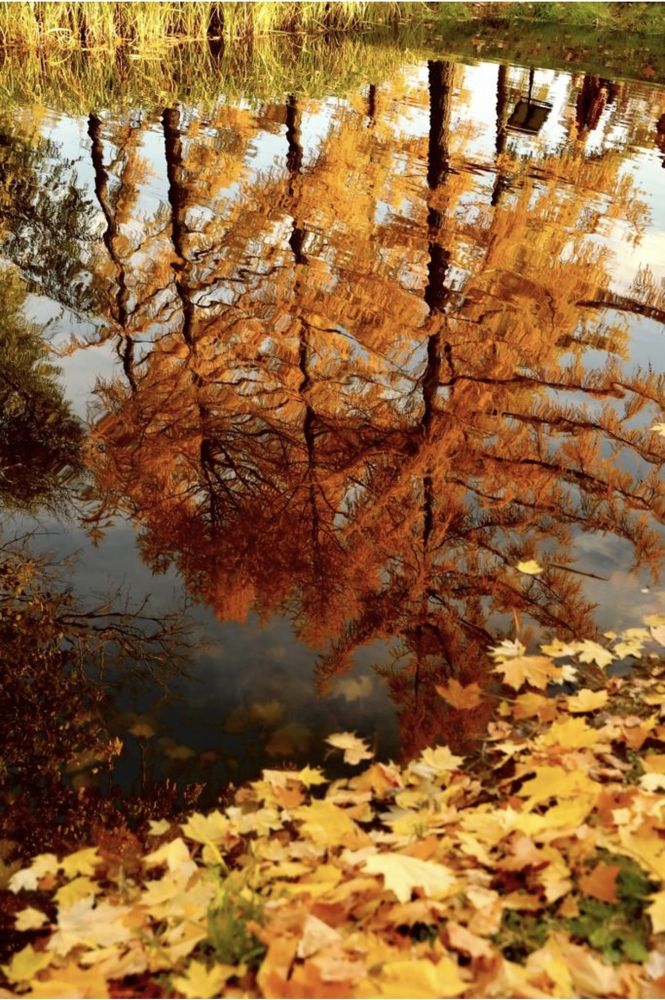 Photograph by Ирина Кочеткова