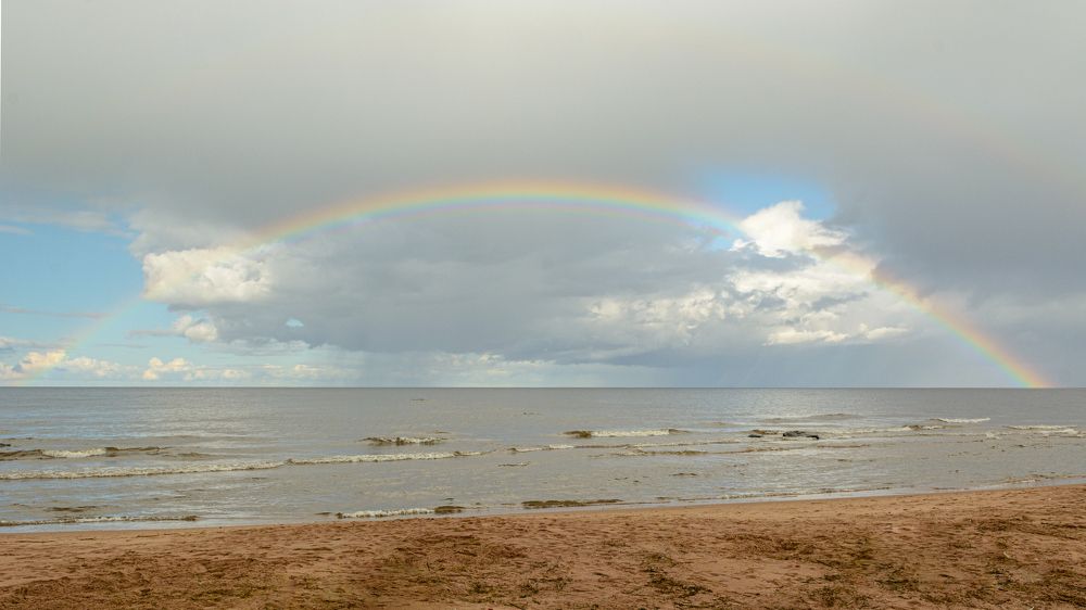 Фотография автора Николай Пугаев