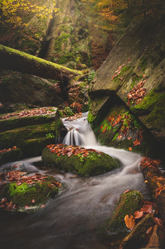 Photograph by Tomáš Jurník