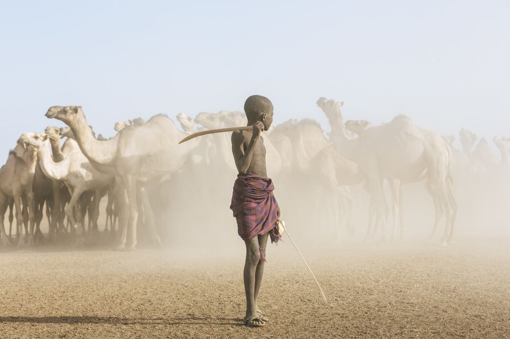 Turkana camel herder