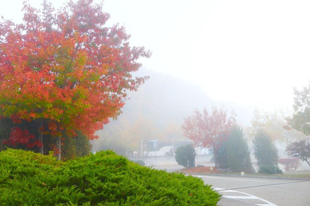 Фотография автора Thi Quynh Nga Pham