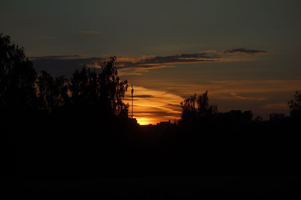 Photograph by Дарья Гришина