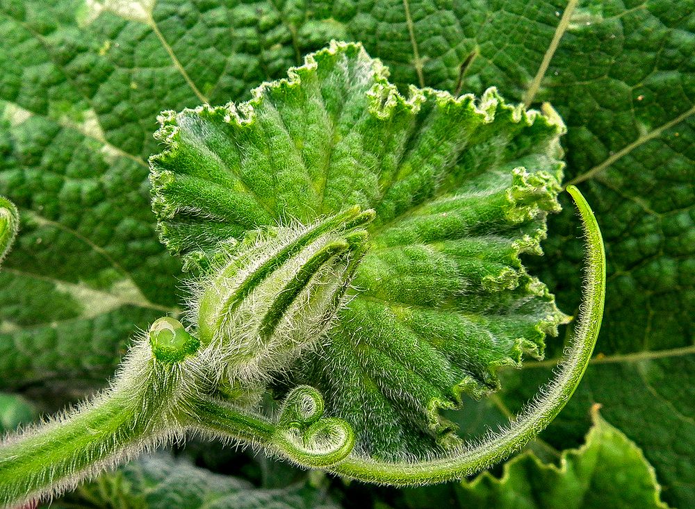 Photograph by Алексей Окунеев