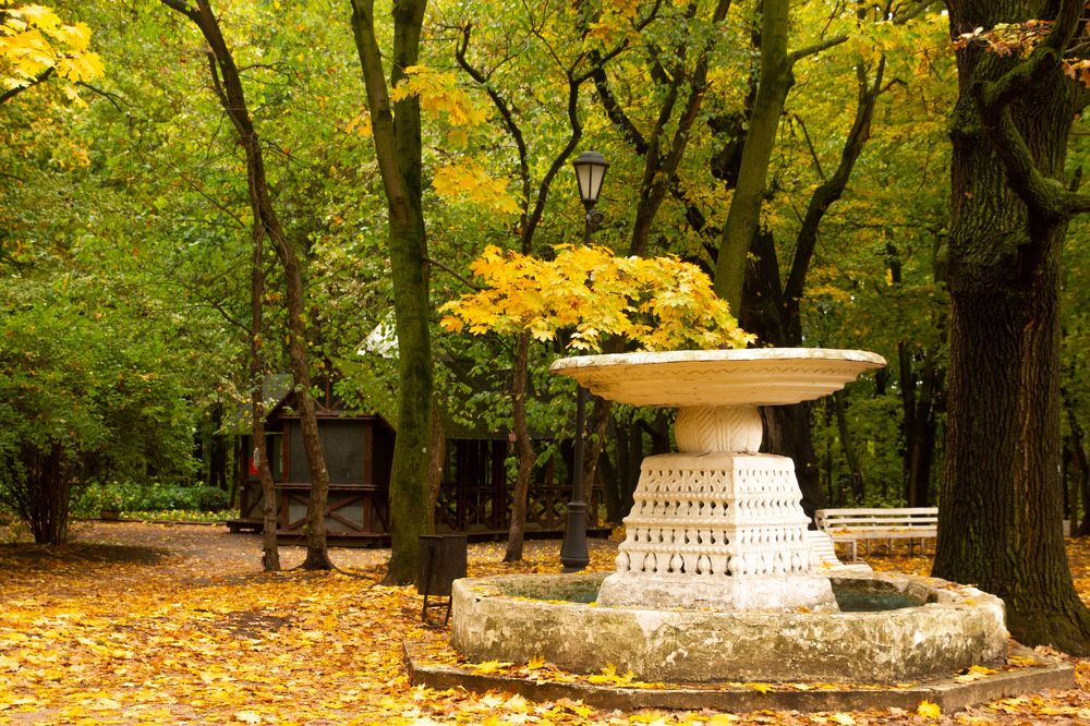 Photograph by Эльвира Халимулина