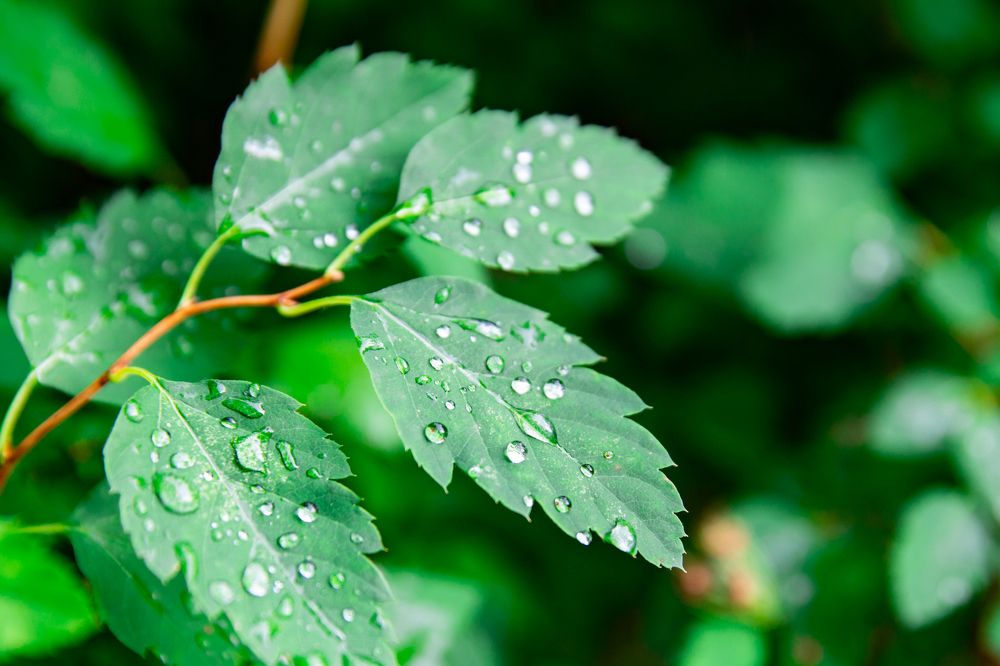 Photograph by Павел Страхов