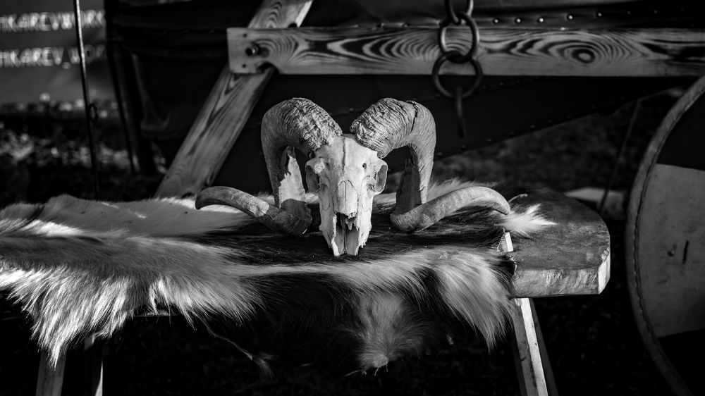 Фотография автора Николай Пугаев