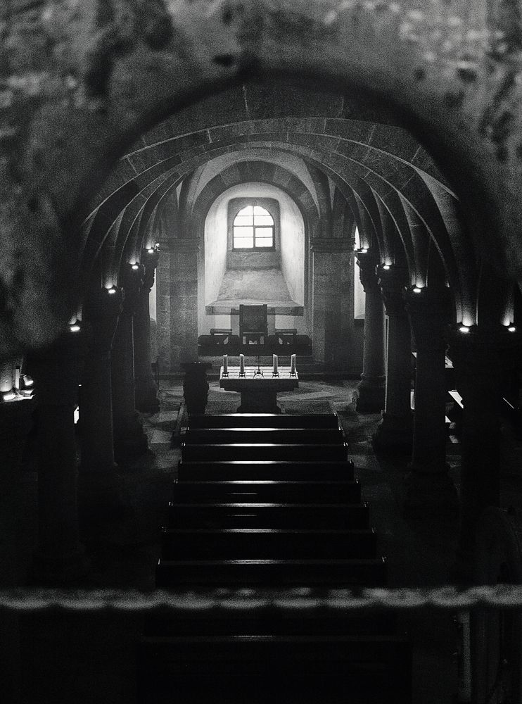 Photograph by Дарья Дмитриева