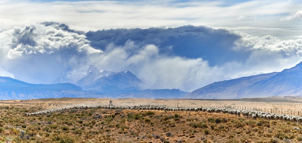 Небо и овцы.