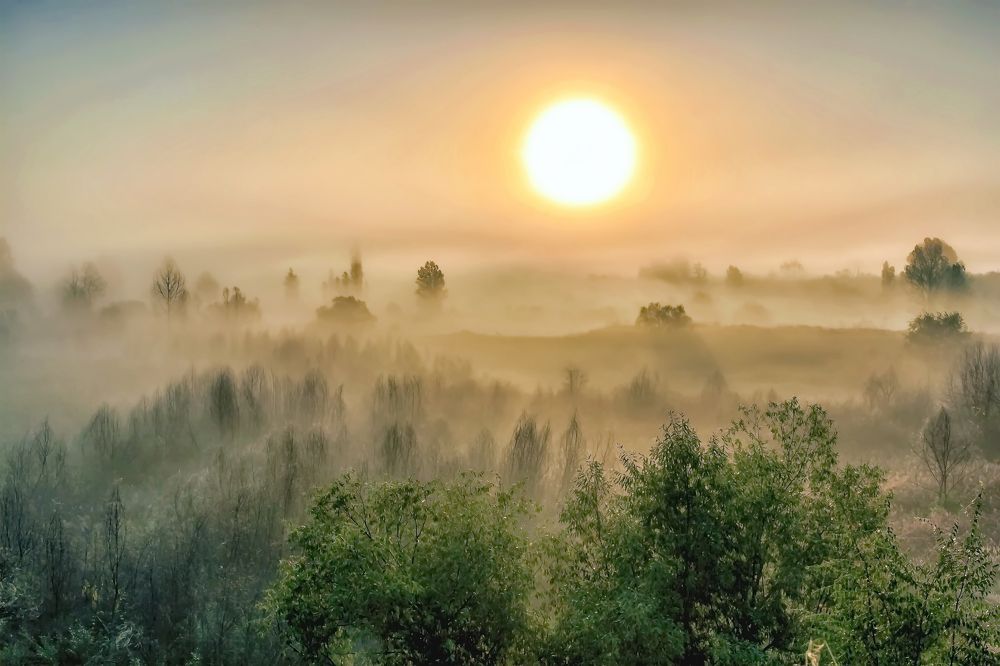И снова туман утром..