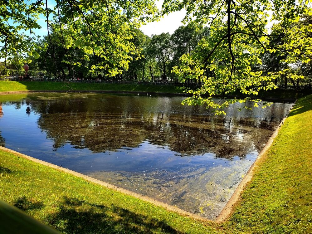 Photograph by Алена Власовец