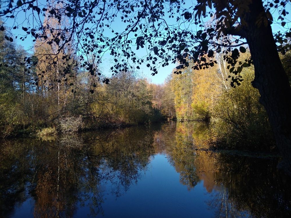 Photograph by Георгий Салюков