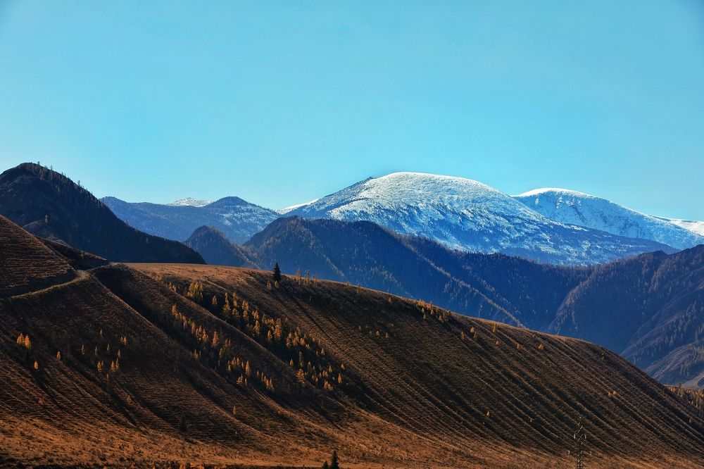 Алтайские горы