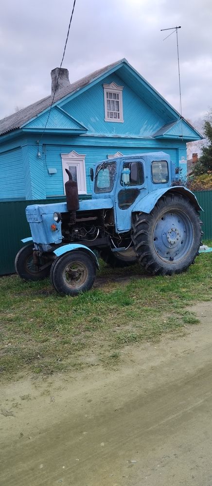 Фотография автора Елена Малкова