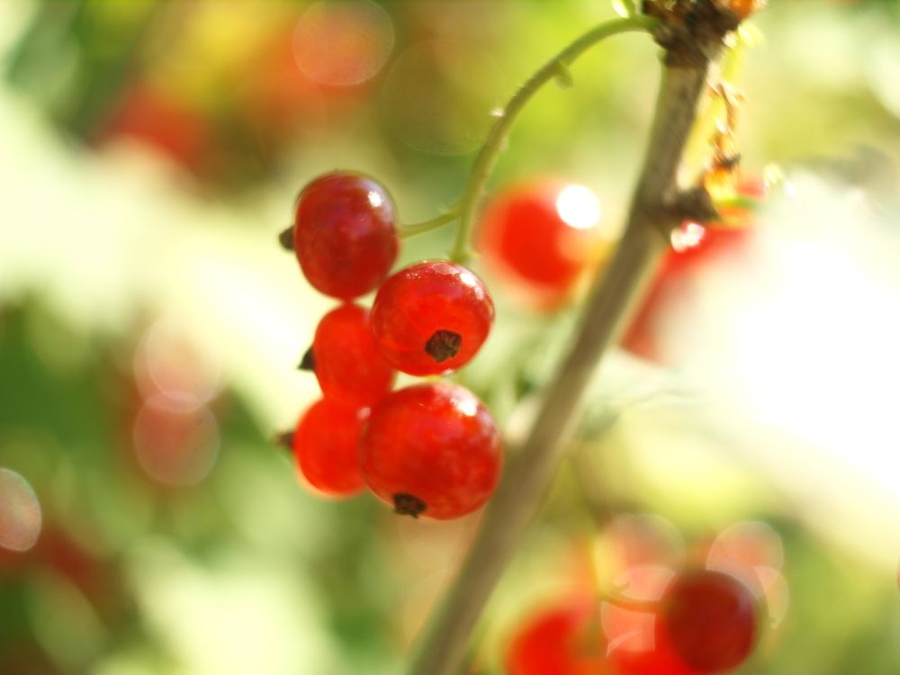 Photograph by Дмитрий Васючков