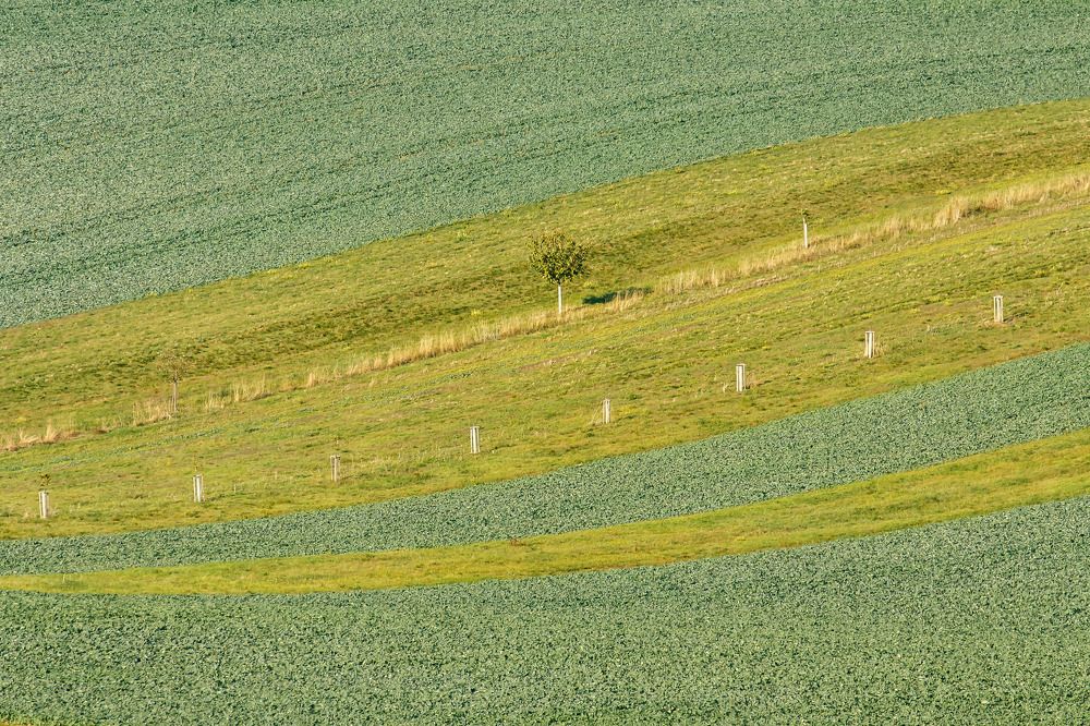 Photograph by Ivars Salmanis