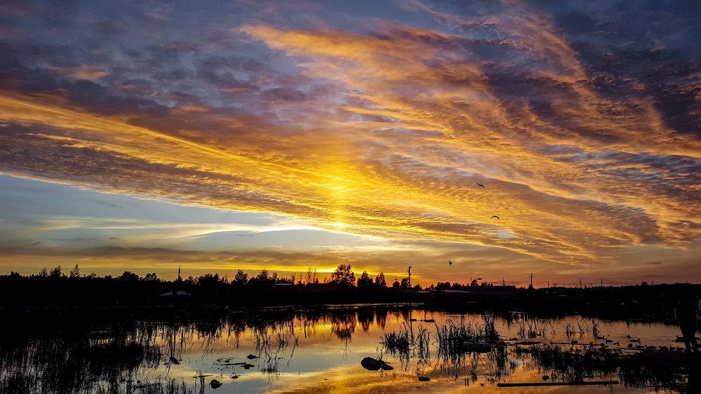 Photograph by Алёна Губинская