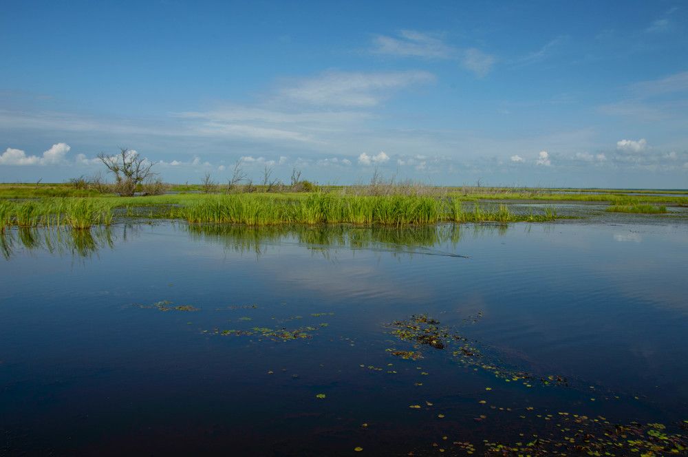 Photograph by Олег Волков