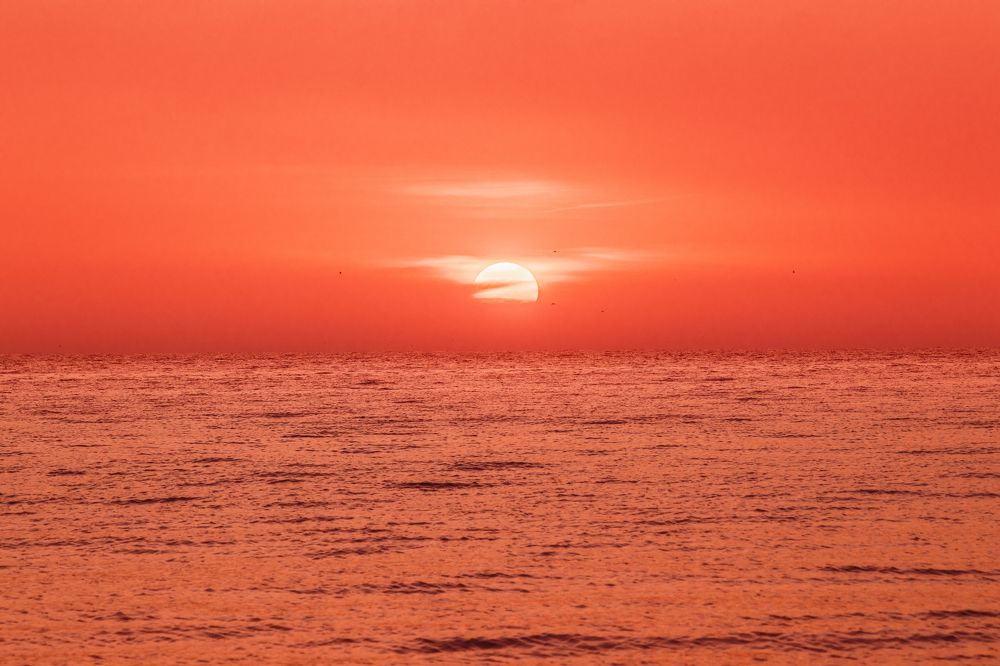 Photograph by Никита Волокитин