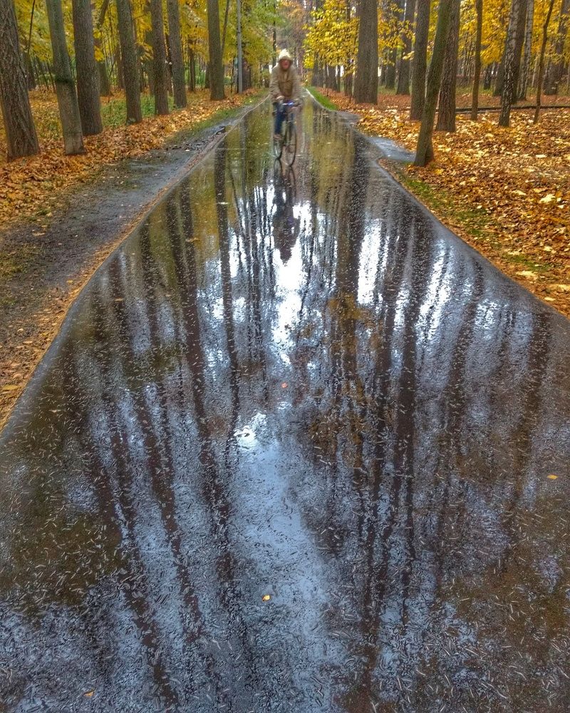 Photo #8228041