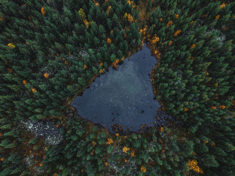 Photograph by Никита Волокитин