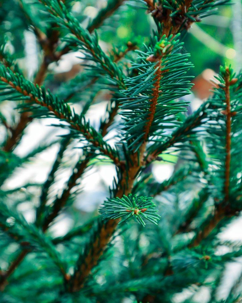 Photograph by Павел Арсенович