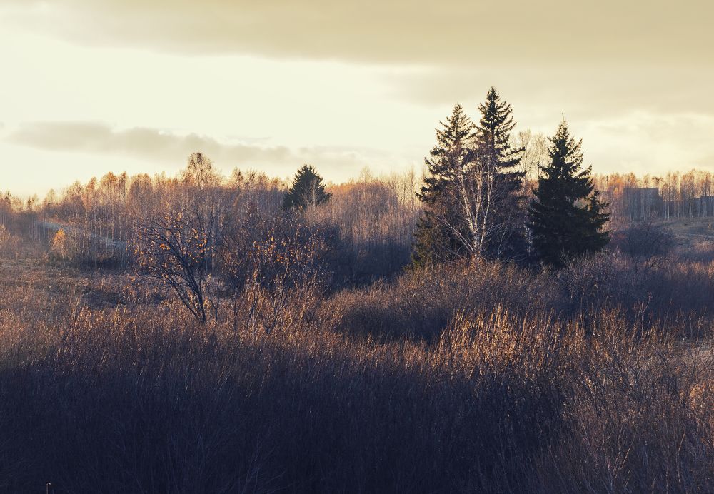 Photograph by Андрей Хаймин