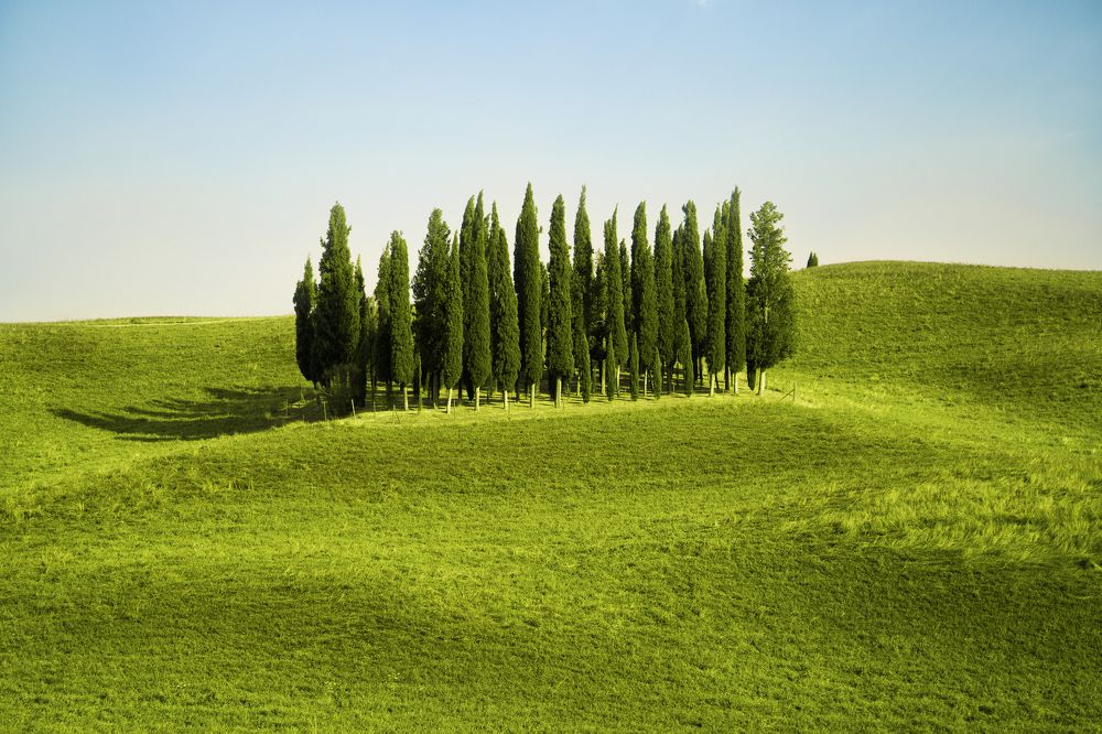 Photograph by Мария Трещева