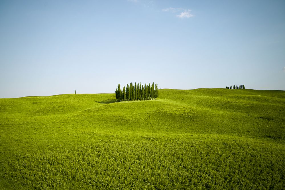 Photograph by Мария Трещева