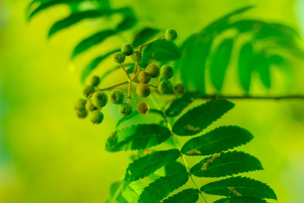 Photograph by Wrapper