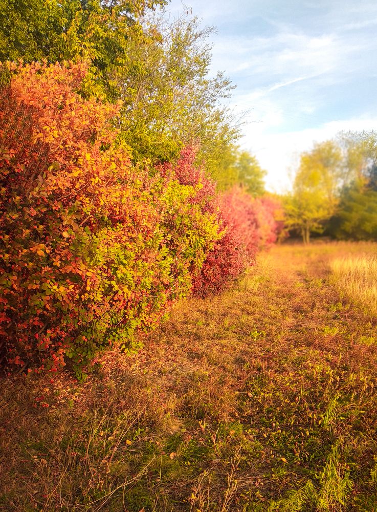 Photograph by Ольга Макарова