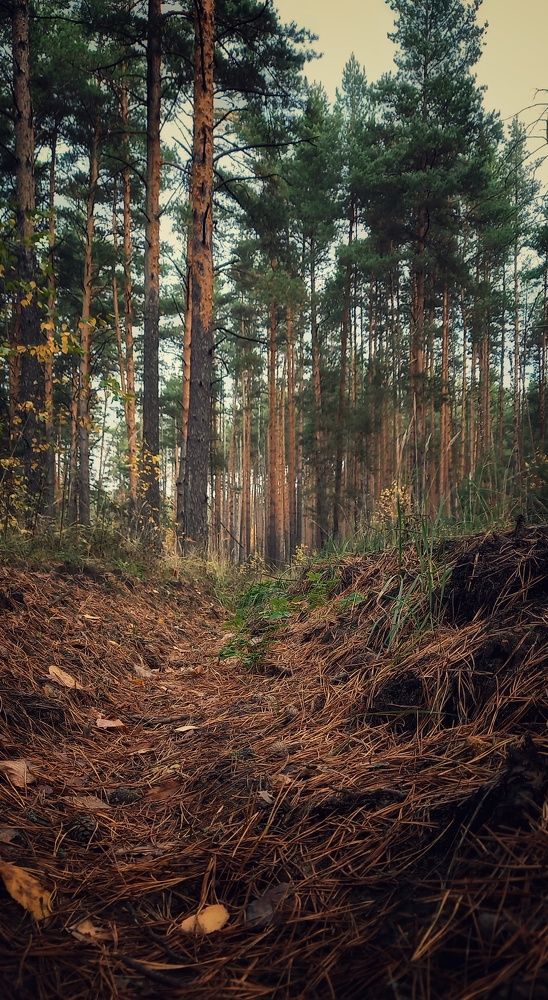 Photograph by Viktoria Vavilkina