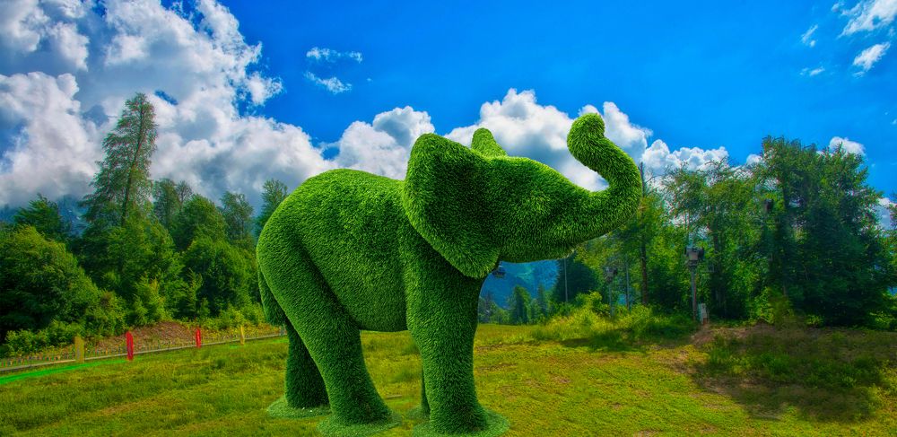 Photograph by arkadii Ануфриев