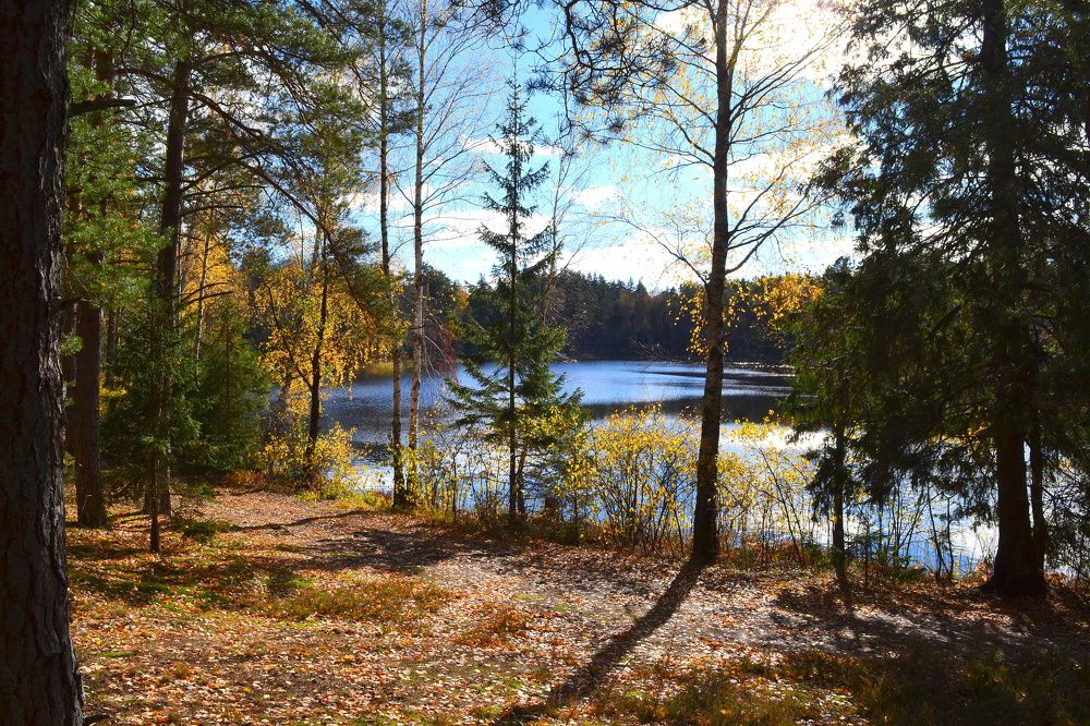 Photograph by Андрей Москалев