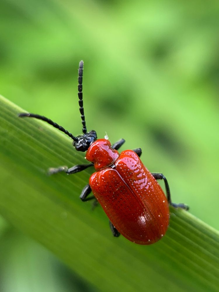 Photograph by Дмитрий Костяков