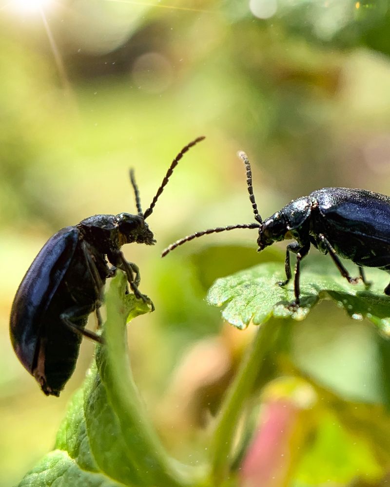 Photograph by Дмитрий Костяков