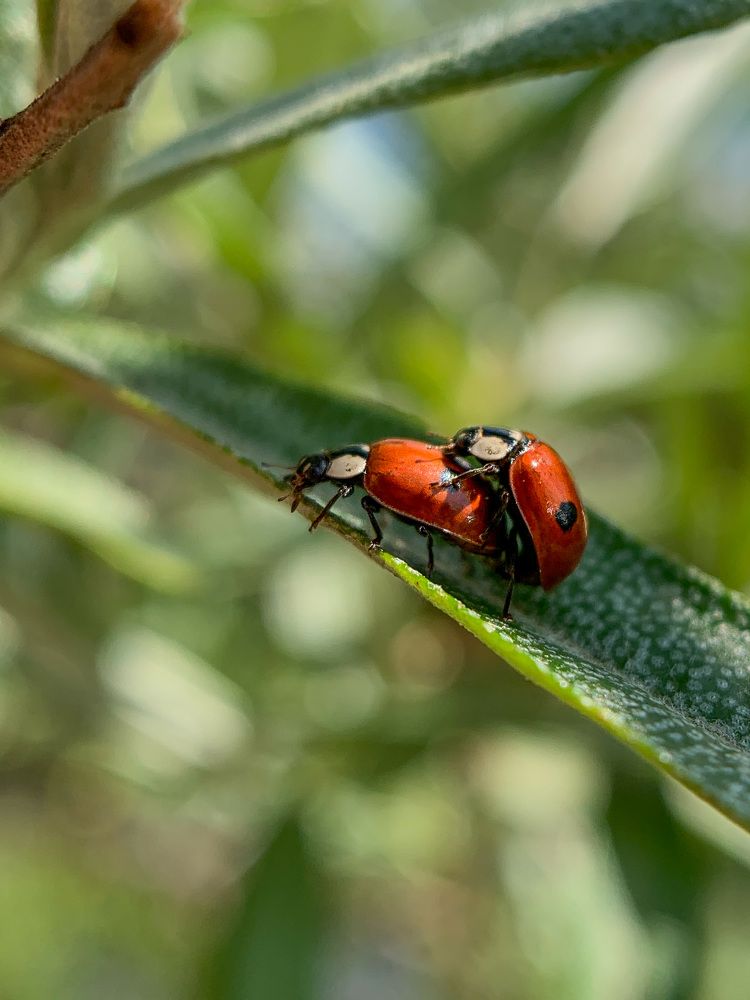 Photograph by Дмитрий Костяков