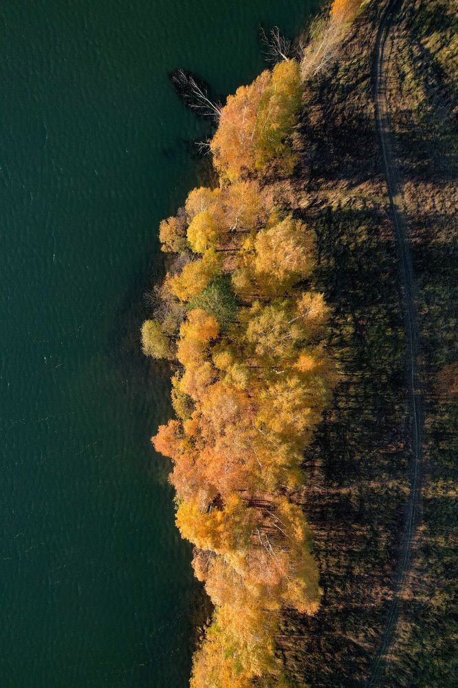 Photograph by Дмитрий Костяков