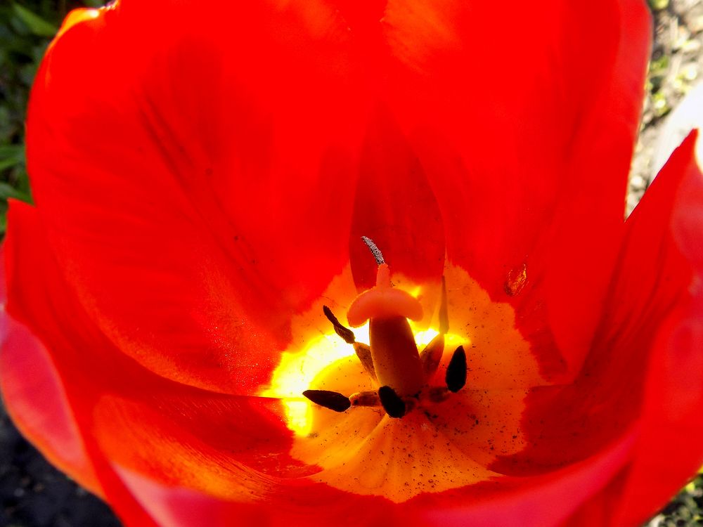 Photograph by Серега Вартман