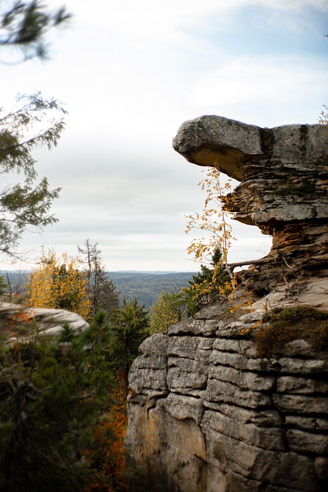 Photograph by Валерия Трушина