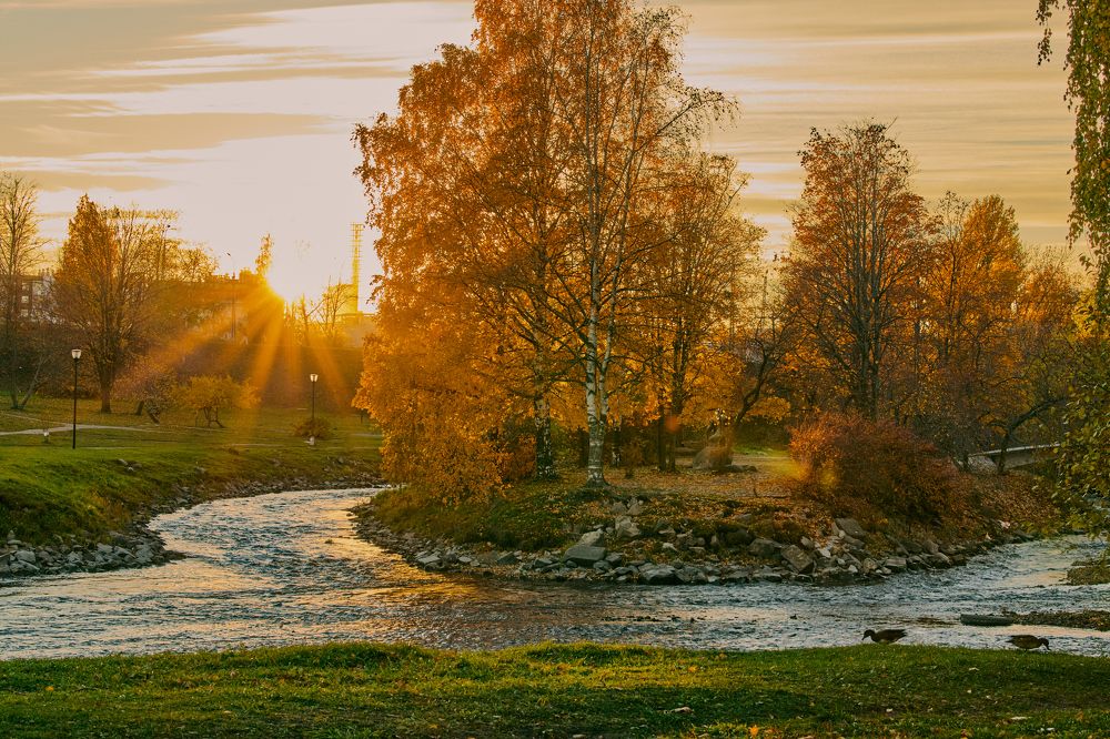 Photograph by Ilya Merkulov